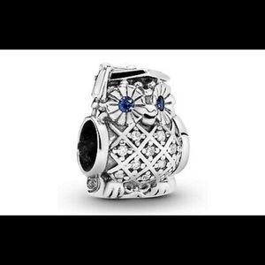 Pandora Owl Graduation Charm